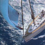 Sailing Charter