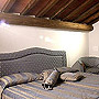 appartamento Firenze centro
