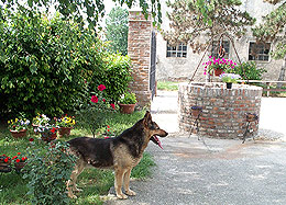 B&B Milano