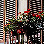 B&BTorino e Piemonte