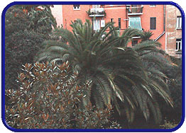 appartamento Testaccio Roma