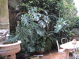 B&B Roma centro